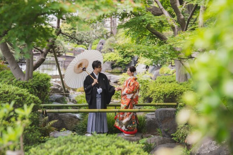 新緑の青々とした背景の中で