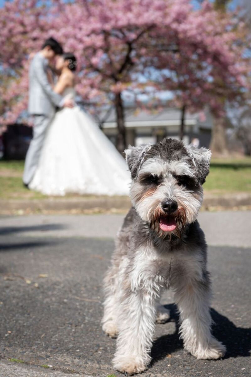 しっかりカメラ目線OK！