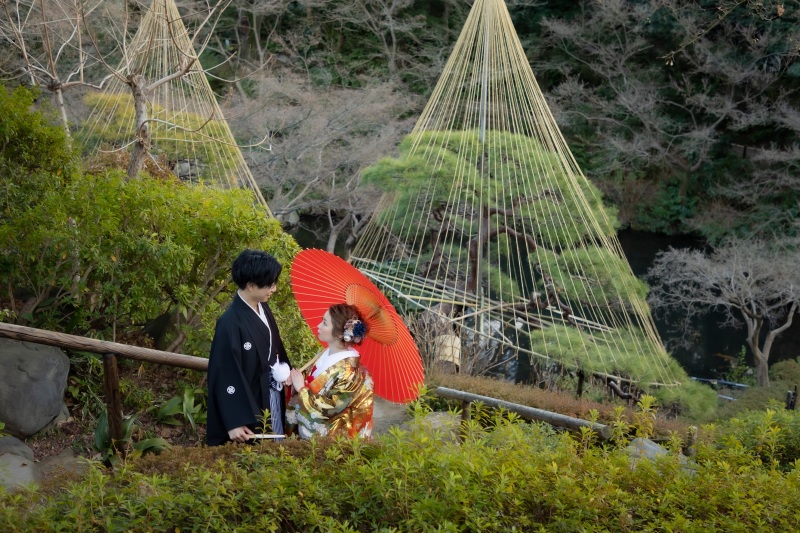 冬の風物詩『雪吊り』で撮影