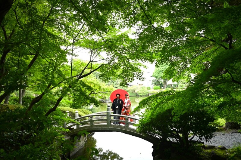 池や橋などがある回遊式日本庭園