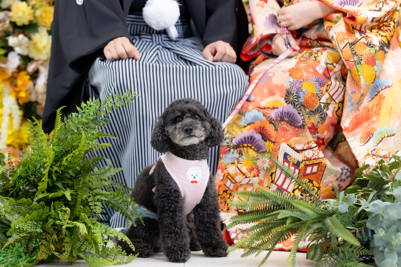撮影中はスタジオは貸切空間に