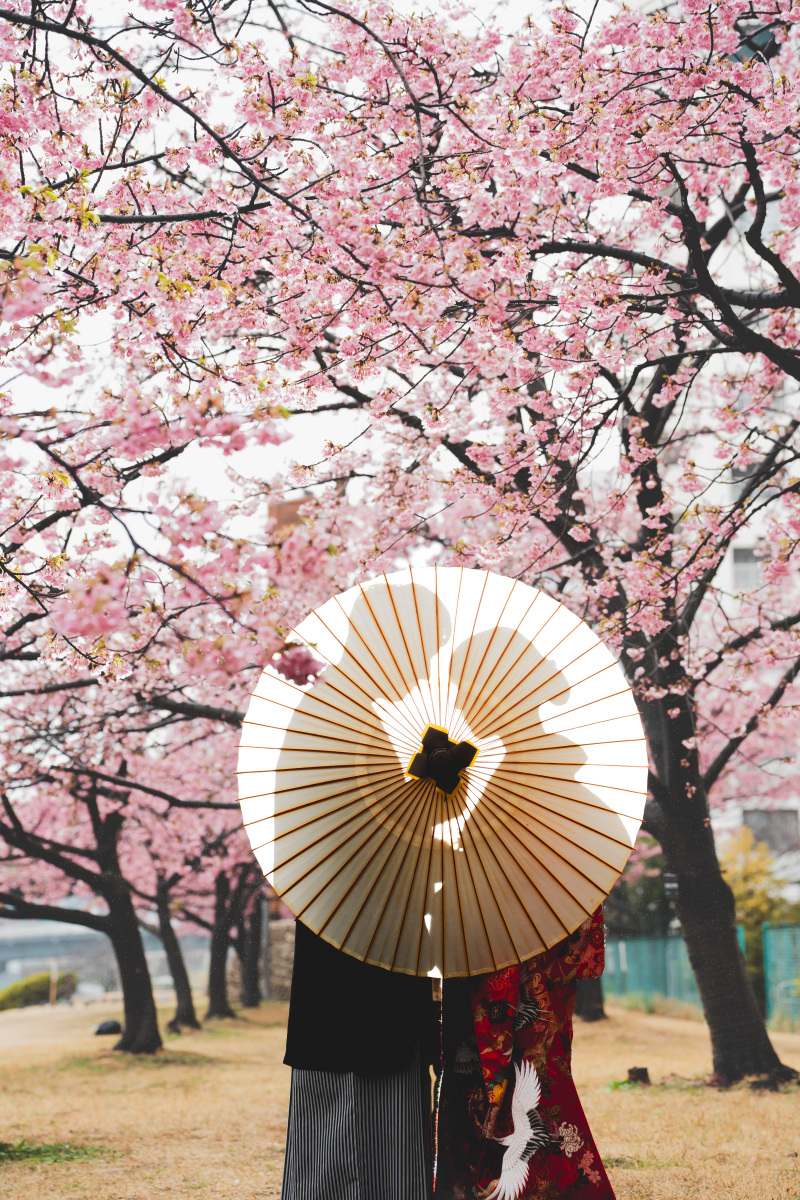 3月のお得なプラン