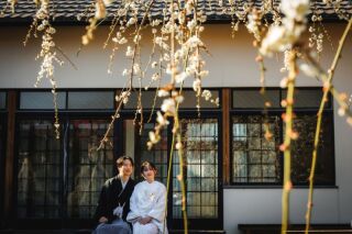 華雅苑 銀座店_冬（1月～2月）の日本庭園