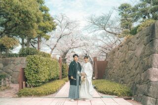 華雅苑 銀座店_和装・桜背景のロケーション