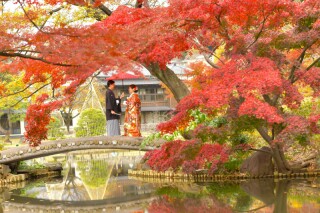 華雅苑 銀座店_紅葉（11月下旬～12月）の日本庭園
