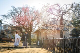 華雅苑 銀座店_肥後細川庭園