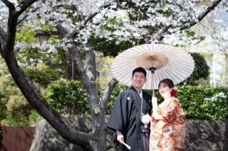 華雅苑 銀座店_和装・桜背景のロケーション