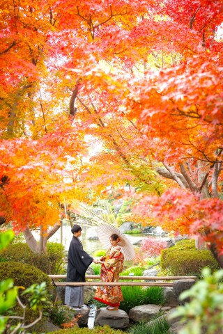 華雅苑 銀座店_紅葉（11月下旬～12月）の日本庭園