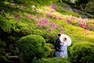 華雅苑 銀座店_５月・６月の日本庭園（新緑の季節）