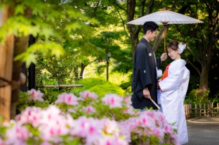 華雅苑 銀座店_５月・６月の日本庭園（新緑の季節）