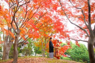 華雅苑 銀座店_紅葉（11月下旬～12月）の日本庭園