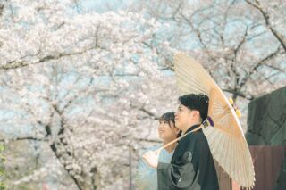 華雅苑 銀座店_和装・桜背景のロケーション