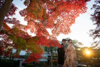 華雅苑 銀座店_紅葉シーズンの日本庭園
