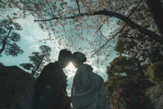 華雅苑 銀座店_和装・桜背景のロケーション