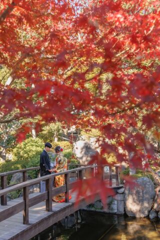 華雅苑 銀座店_紅葉シーズンの日本庭園