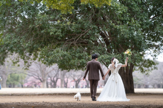 華雅苑 銀座店_代々木公園
