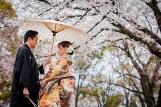 華雅苑 銀座店_和装・桜背景のロケーション