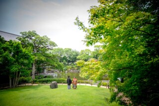 華雅苑 銀座店_花畑記念庭園　夏　厳選３０