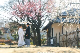 華雅苑 銀座店_肥後細川庭園