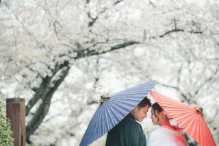 華雅苑 銀座店_和装・桜背景のロケーション