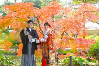 華雅苑 銀座店_紅葉（11月下旬～12月）の日本庭園