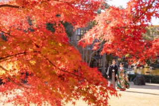華雅苑 銀座店_紅葉（11月下旬～12月）の日本庭園