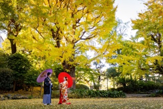 華雅苑 銀座店_紅葉シーズンの日本庭園