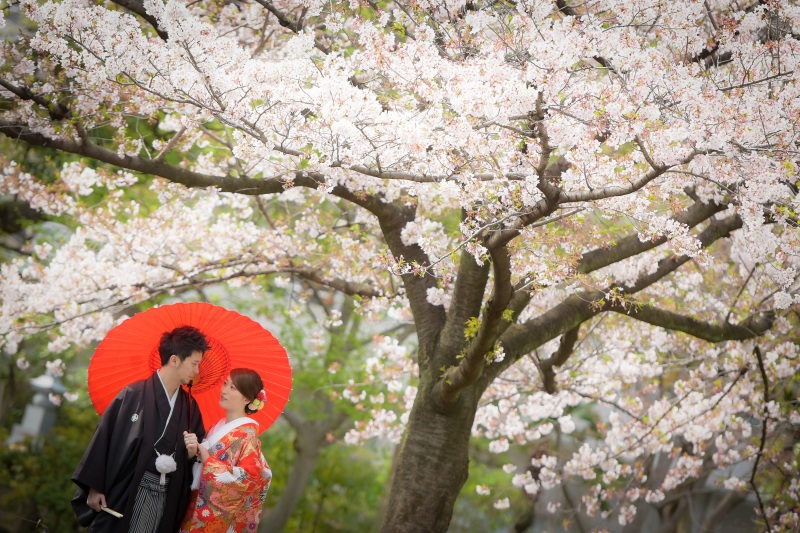【桜の咲く時期✿ 3/26~4/10 花畑記念庭園&東京駅で撮影】和装&洋装 撮影データ210カット最短3~5営業日後お渡し