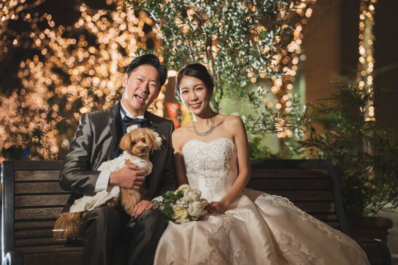 【Photorait限定 12/1~1/31撮影】洋装1着 ペットと一緒に東京駅&丸の内イルミネーション 撮影データ100カット