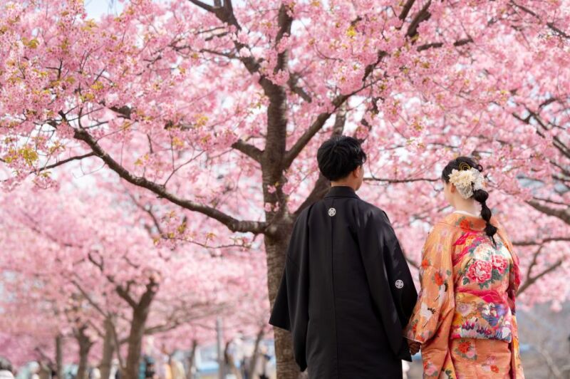 【河津桜プラン✿　2/24～3/10迄の平日撮影】和装&洋装　河津桜＆東京駅orスタジオ撮影　撮影データ210カット