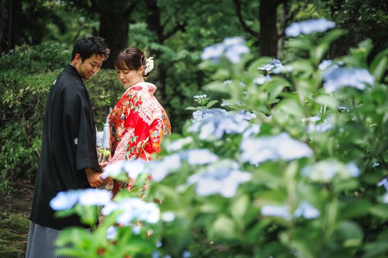 紫陽花キャンペーン6/9～6/30迄　ウェルカムボードプレゼント♪　日本庭園＆スタジオでお好きな和装2着　撮影データ230カット