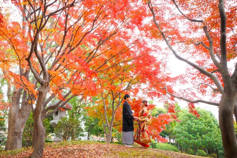 紅葉シーズン 11/25~12/10 和装2着 平日130,000円 土日祝料金22,000円