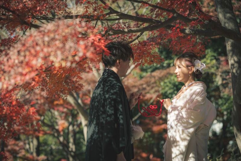 【まだ紅葉&丸の内イルミ 12/16~12/19】和装(日本庭園)&洋装(東京駅&丸の内イルミネーション)撮影データ210カット