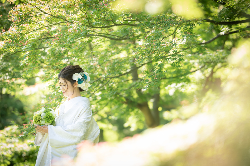 新緑キャンペーン♪選べる特典　4/11～5/10迄の撮影　お好きな和装1着　都内日本庭園で撮影　撮影データ130カット