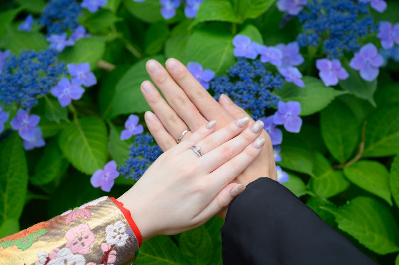 紫陽花キャンペーン6/9～6/30迄　ウェルカムボードプレゼント♪　和装＆洋装 日本庭園＆東京駅で撮影　撮影データ210カット