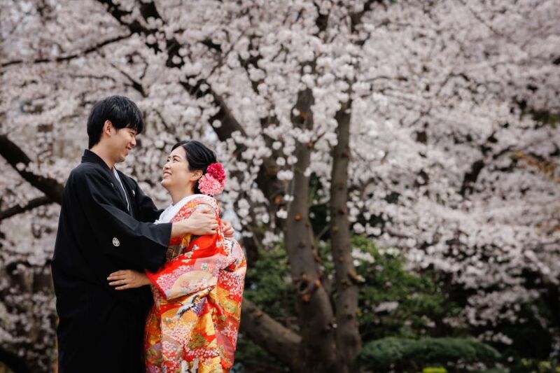 【桜の時期✿ 3/26～4/10平日撮影　旧安田庭園＆スタジオ】和装2着　撮影データ230カット最短3～5営業日後お渡し