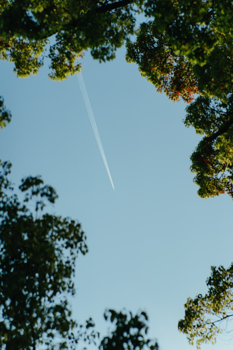 何気ないお写真も