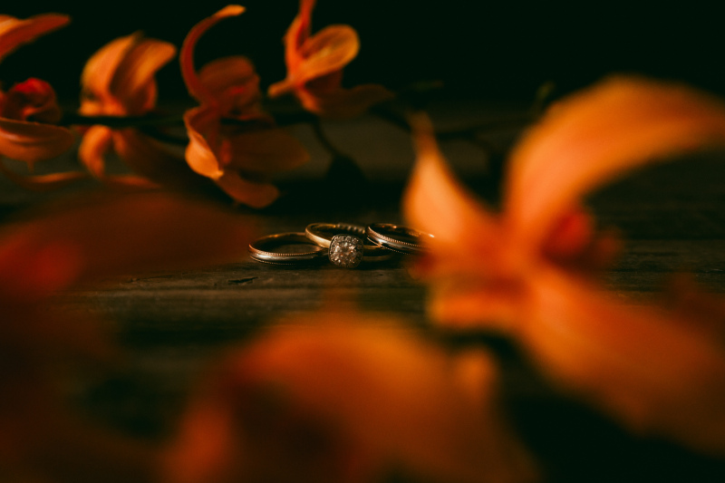 リングショット