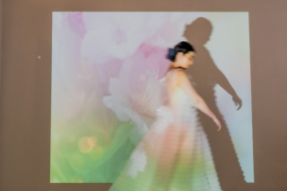 Canvas of Us - 二人を描く光と色彩 -