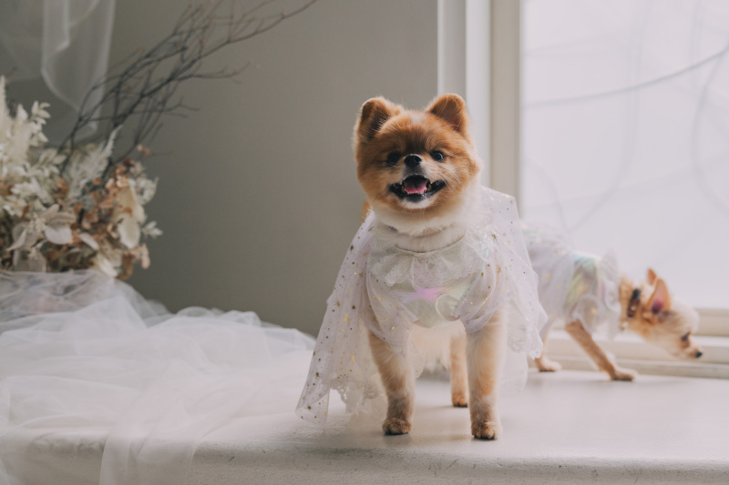 白で統一したリンクコーデが可愛い