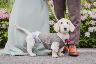 ワンちゃんと一緒にフォトウェディング