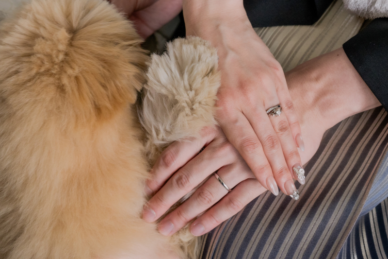 リングショットもみんなで