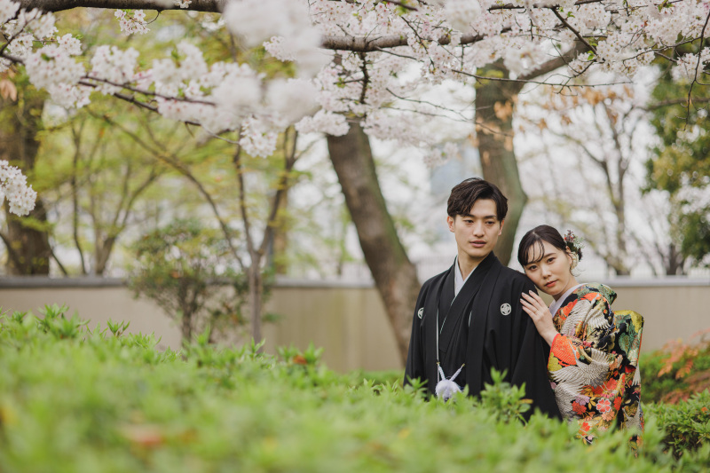 さくらと一緒に