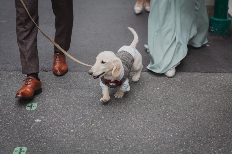 街ぶらショット