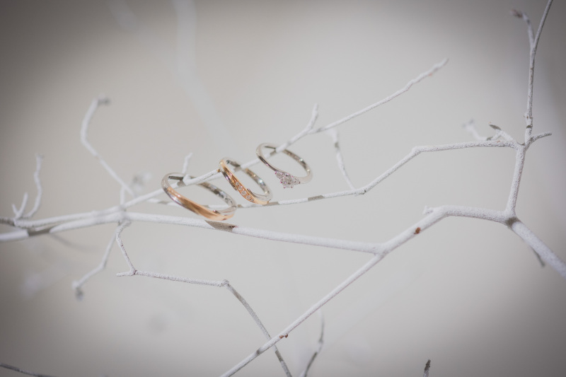 リングショット