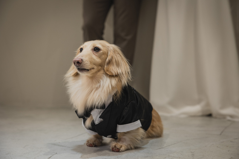 Creators'Genic_ペットと一緒に撮影できる