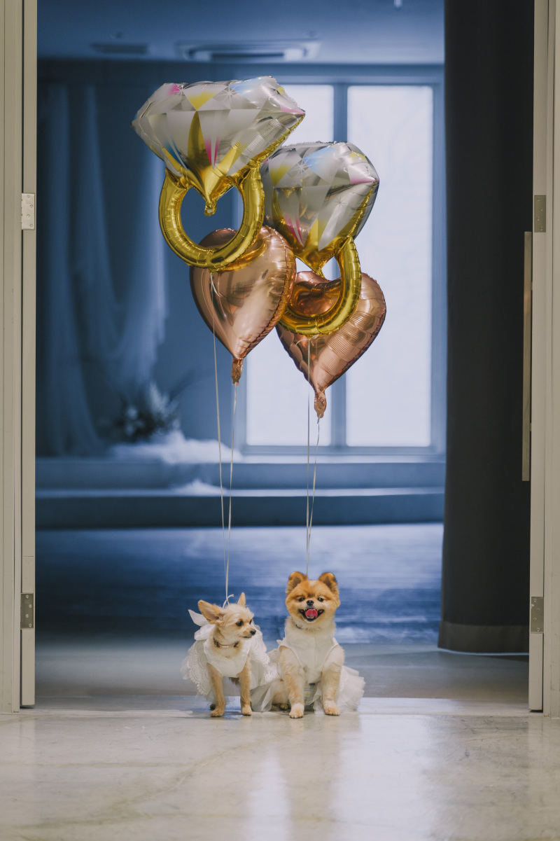 Creators'Genic_ペットと一緒に撮影できる