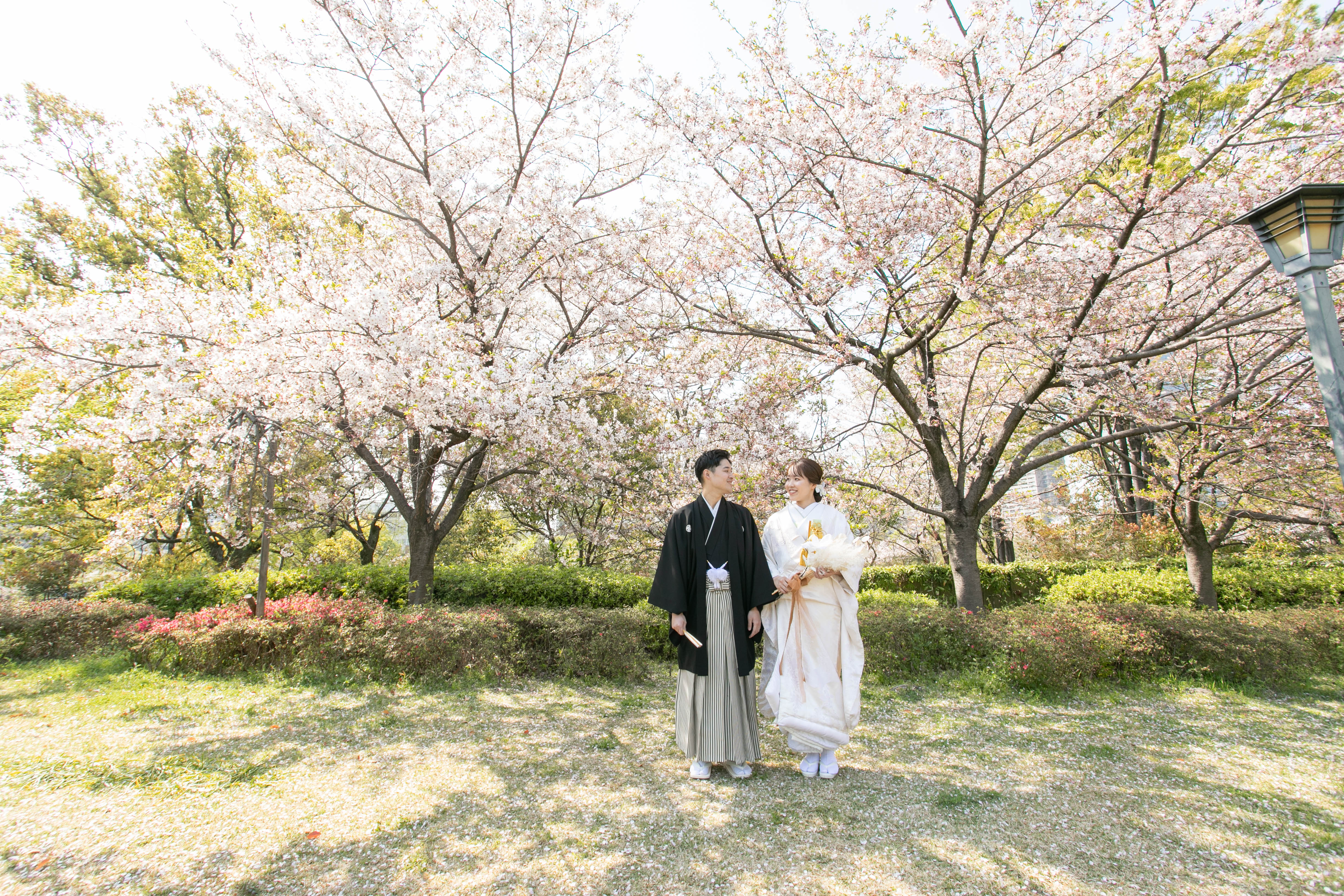 20以上ある撮影シーン