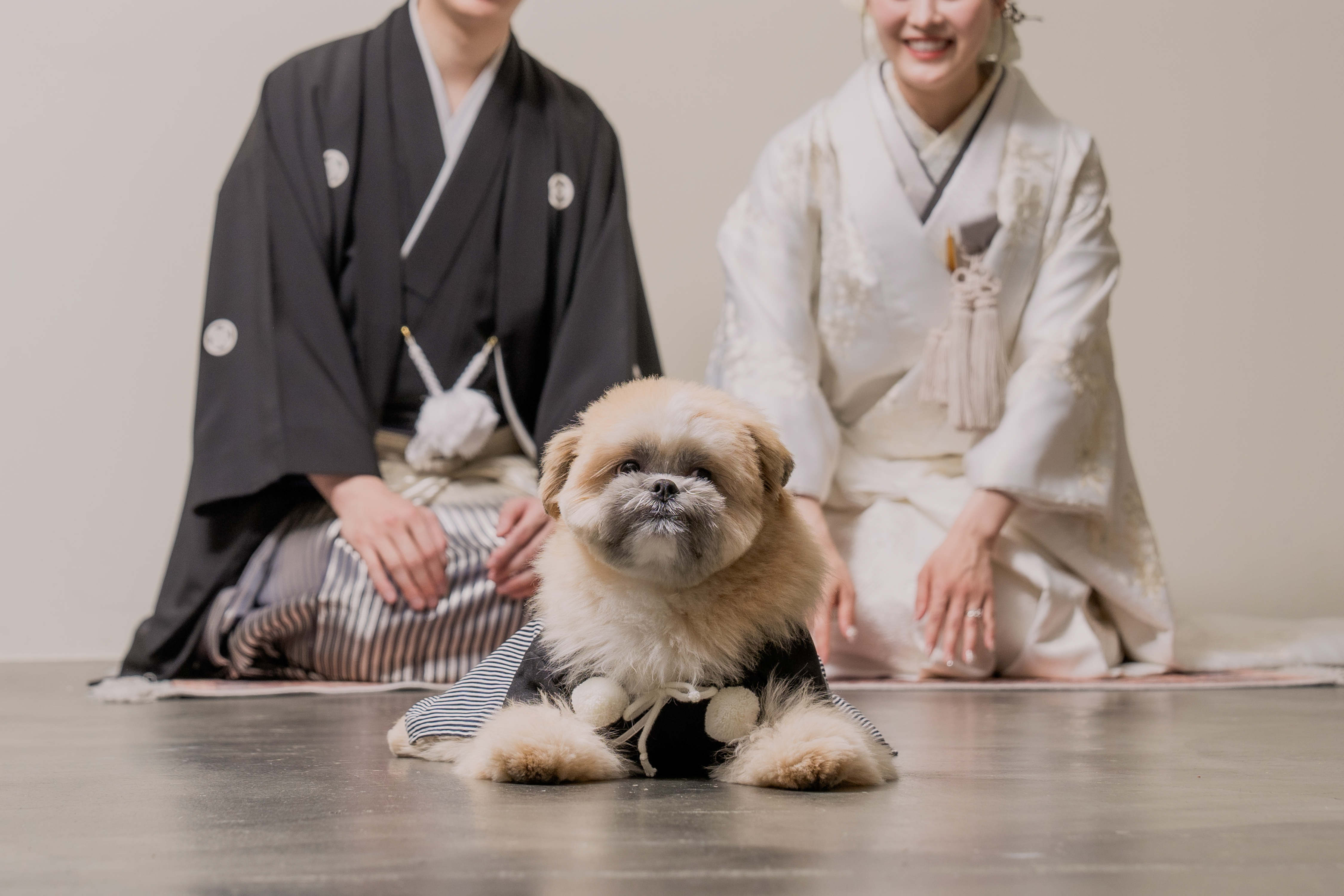 Point1 多彩な撮影シーン