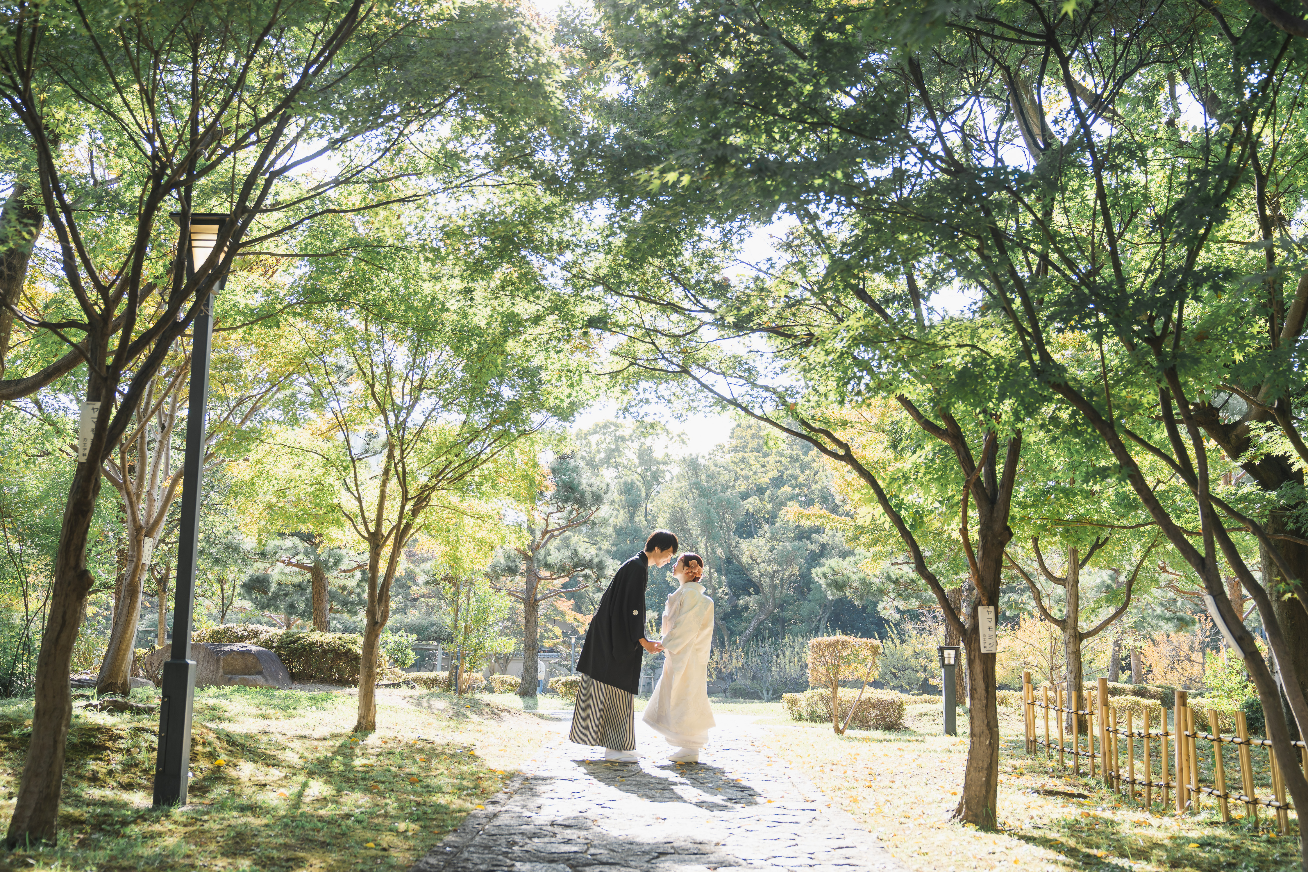 Point1 多彩な撮影シーン